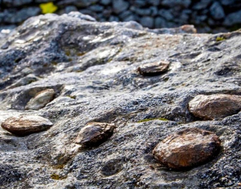 Casa Tia Vina - Serra Arouca Dış mekan fotoğraf