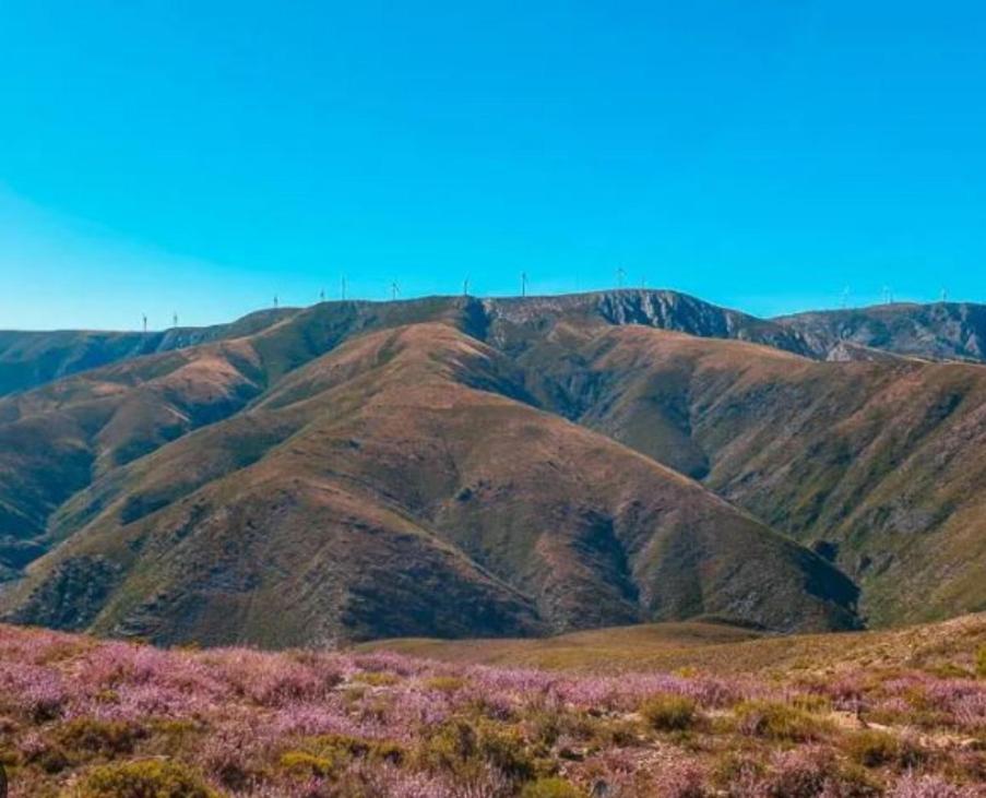 Casa Tia Vina - Serra Arouca Dış mekan fotoğraf